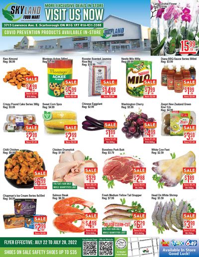 Skyland Food Mart Flyer July 22 to 28