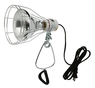 Woods 324 18/2-Gauge Brooder Heat Lamp with Wire Grill and Clamp 150-Watt, 120-Volt, 6-Foot $14.89 (Reg $22.22)