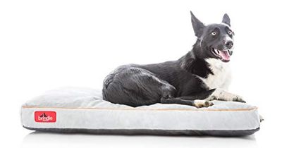 BRINDLE Soft Shredded Memory Foam Dog Bed with Removable Washable Cover, stone, 34in x 22in $37.65 (Reg $66.95)
