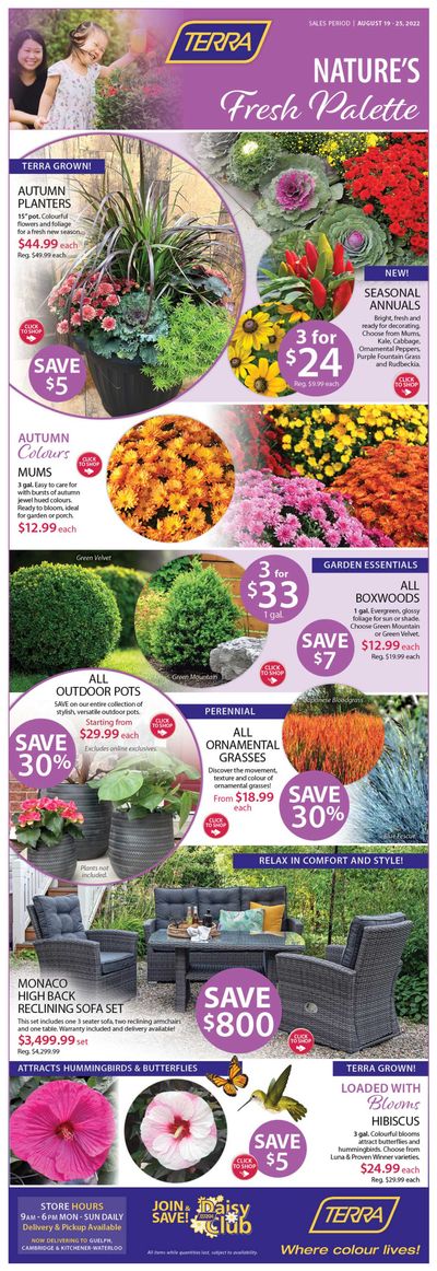 Terra Greenhouses Flyer August 19 to 25