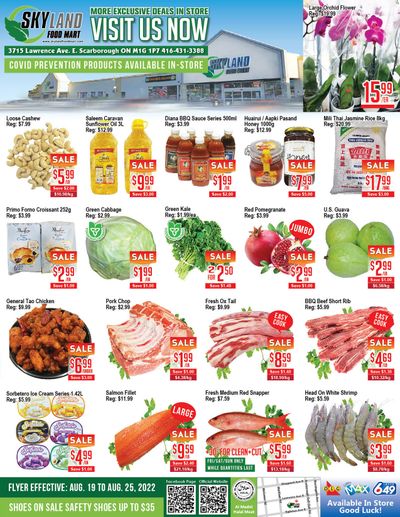 Skyland Food Mart Flyer August 19 to 25