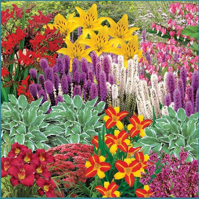 Effortless Perennial Garden On Sale for $ 47.99 ( Save $ 12.00 ) at Costco Canada