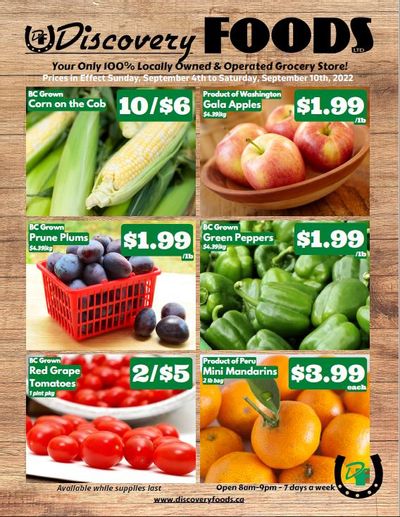 Dscovery Foods Flyer September 4 to 10