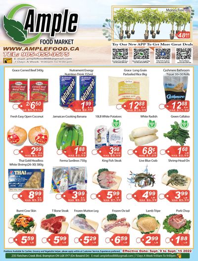 Ample Food Market (Brampton) Flyer September 9 to 15