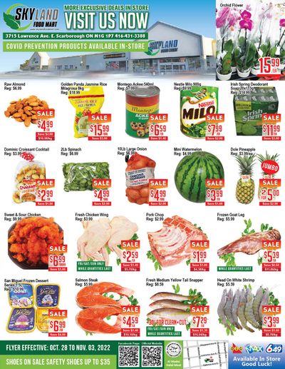 Skyland Food Mart Flyer October 28 to November 3
