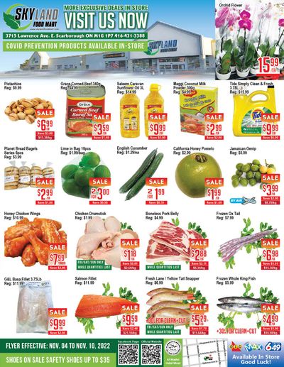 Skyland Food Mart Flyer November 4 to 10