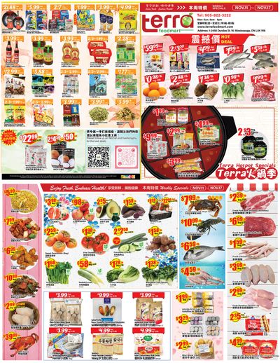 Terra Foodmart Flyer November 11 to 17