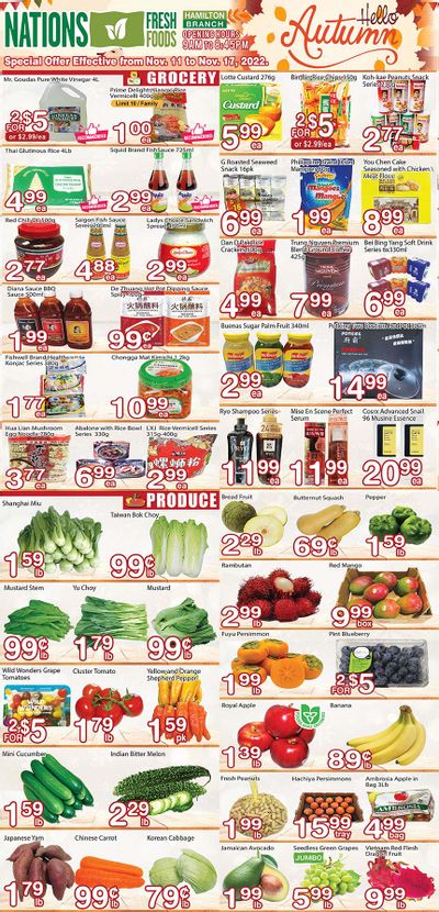 Nations Fresh Foods (Hamilton) Flyer November 11 to 17