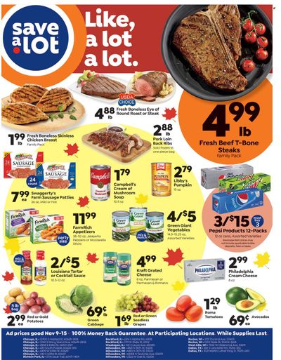Save a Lot Weekly Ad Flyer Specials November 9 to November 15, 2022