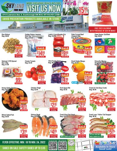 Skyland Food Mart Flyer November 18 to 24