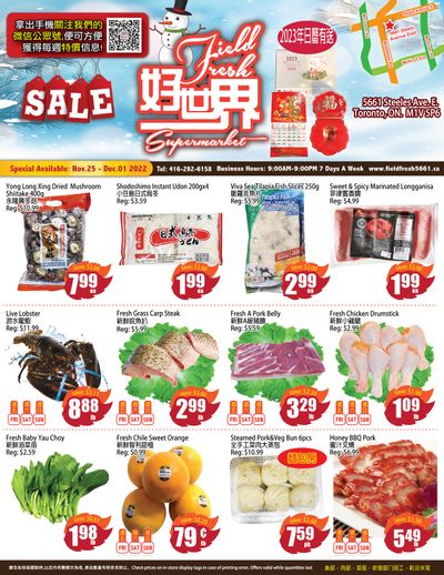 Field Fresh Supermarket Flyer November 25 to December 1