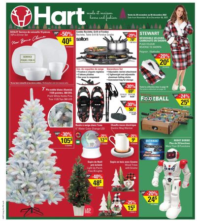 Hart Stores Flyer November 30 to December 6
