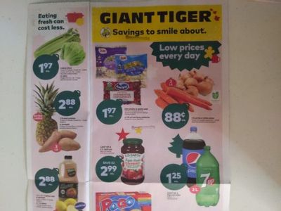 Giant Tiger Canada Flyer Sneak Peek December 7th – 13th