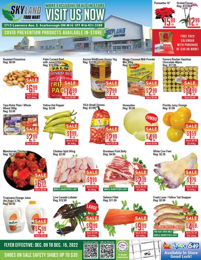 Skyland Food Mart Flyer December 9 to 15