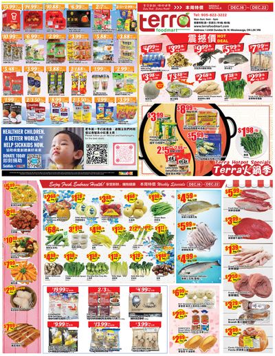 Terra Foodmart Flyer December 16 to 22
