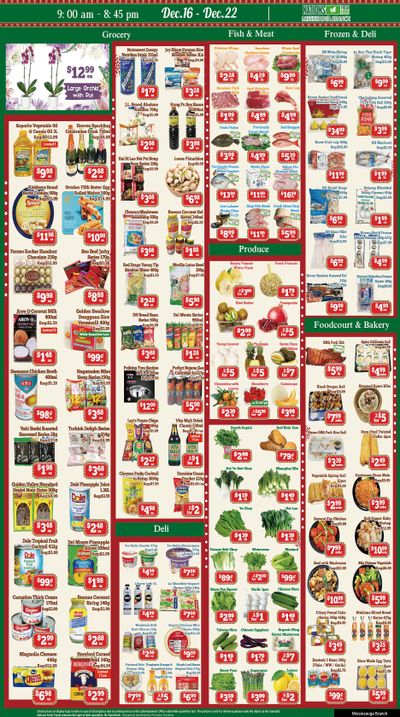 Nations Fresh Foods (Mississauga) Flyer December 16 to 22
