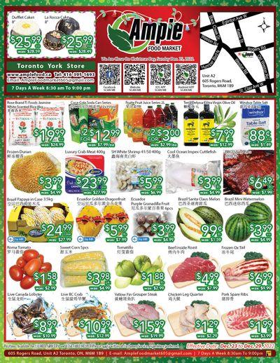 Ample Food Market (North York) Flyer December 23 to 29