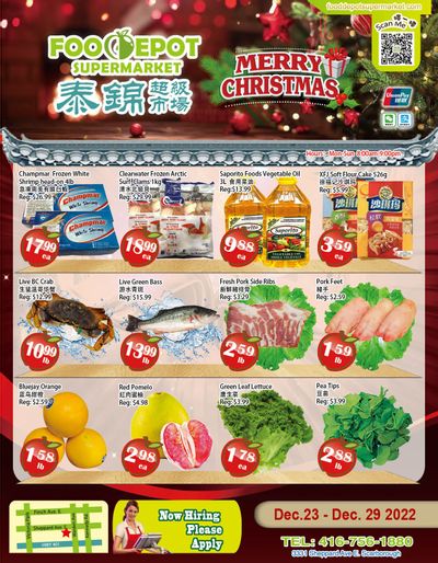 Food Depot Supermarket Flyer December 23 to 29