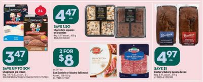 Giant Tiger Canada: Chapman’s Original Ice Cream Free After $4 Yearly Mail Out Coupon
