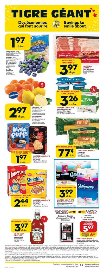 Tigre Géant Flyer December 28 to January 3