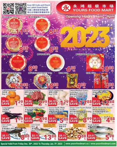 Yours Food Mart Flyer December 30 to January 5