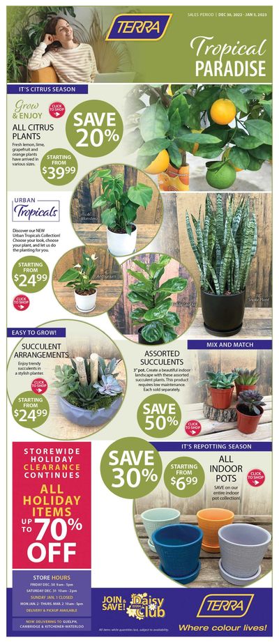 Terra Greenhouses Flyer December 30 to January 5