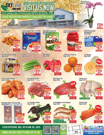 Skyland Food Mart Flyer December 30 to January 5