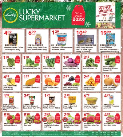 Lucky Supermarket (Calgary) Flyer December 30 to January 5