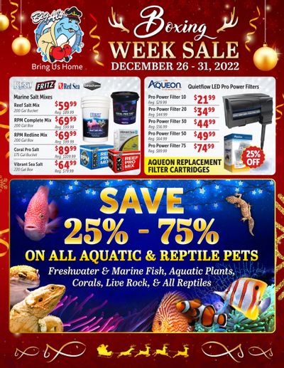 Big Al's Boxing week Flyer December 26 to 31