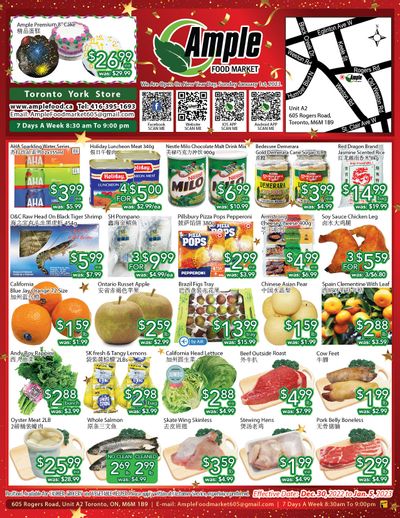 Ample Food Market (North York) Flyer December 30 to January 5