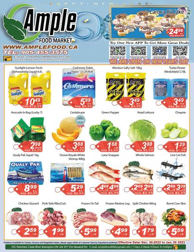 Ample Food Market (Brampton) Flyer December 30 to January 5