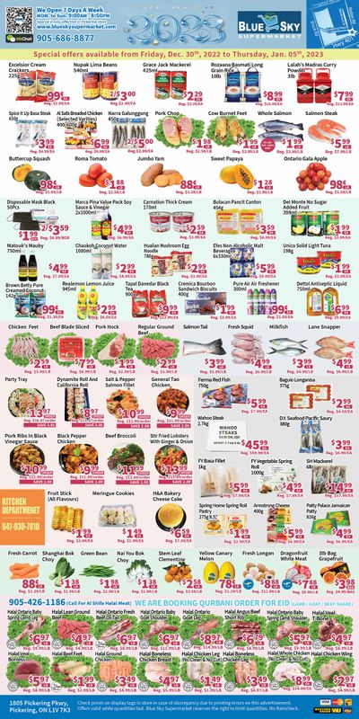 Blue Sky Supermarket (Pickering) Flyer December 30 to January 5