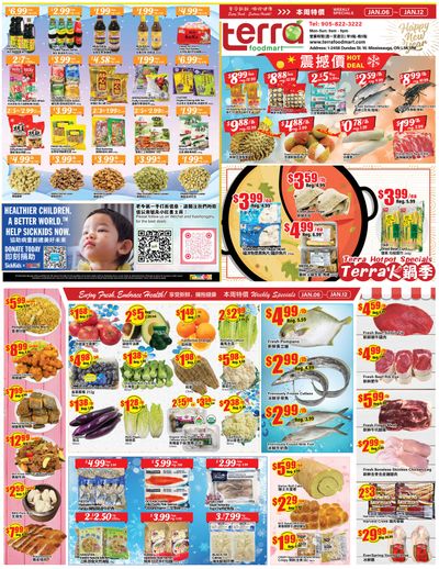 Terra Foodmart Flyer January 6 to 12