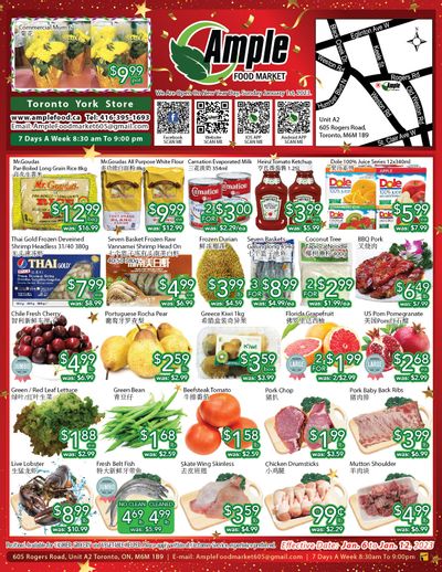 Ample Food Market (North York) Flyer January 6 to 12