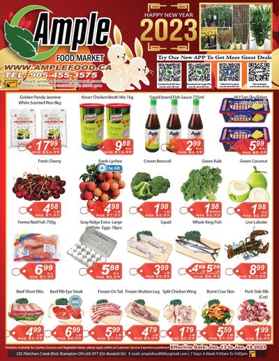 Ample Food Market (Brampton) Flyer January 13 to 19