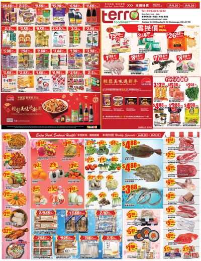Terra Foodmart Flyer January 20 to 26