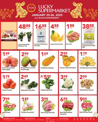 Lucky Supermarket (Winnipeg) Flyer January 20 to 26