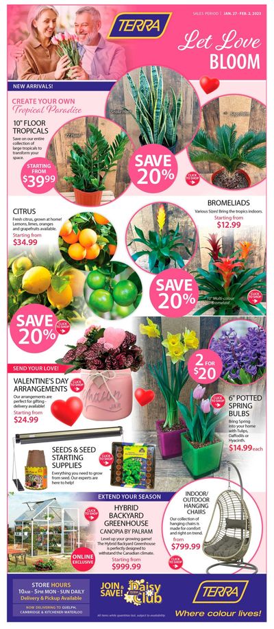 Terra Greenhouses Flyer January 27 to February 2