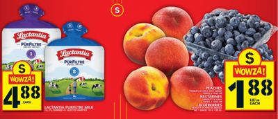No Frills Ontario: Three 170g Containers of Blueberries 54 Cents Each After Price Match and PC Optimum Points