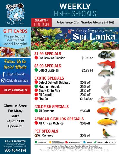 Big Al's (Brampton) Weekly Specials January 27 to February 2