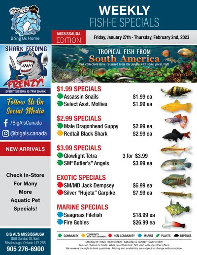 Big Al's (Mississauga) Weekly Specials January 27 to February 2