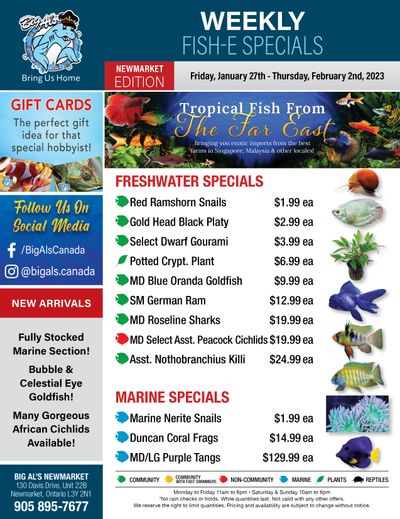 Big Al's (Newmarket) Weekly Specials January 27 to February 2
