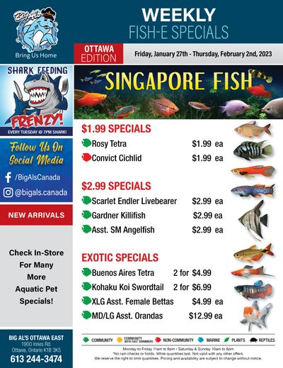 Big Al's (Ottawa) Weekly Specials January 27 to February 2