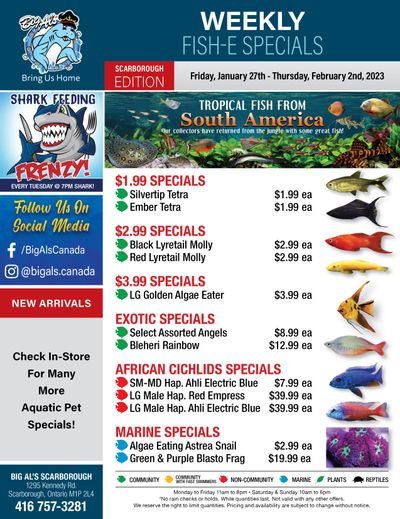 Big Al's (Scarborough) Weekly Specials January 27 to February 2