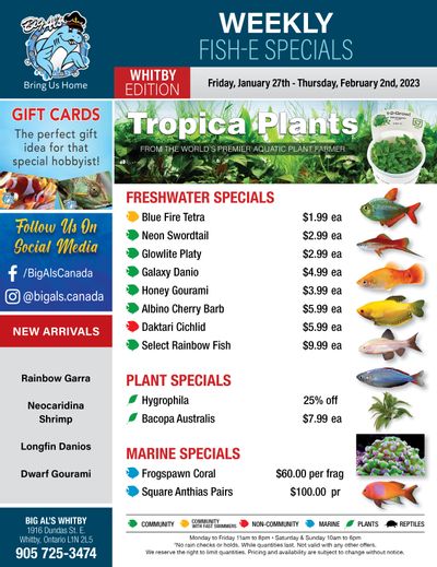 Big Al's (Whitby) Weekly Specials January 27 to February 2