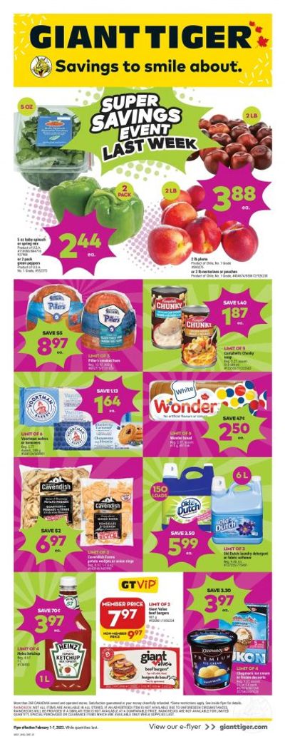 Giant Tiger Canada Flyer Deals February 1st – 7th