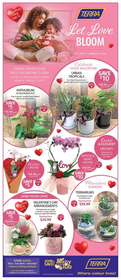 Terra Greenhouses Flyer February 3 to 9