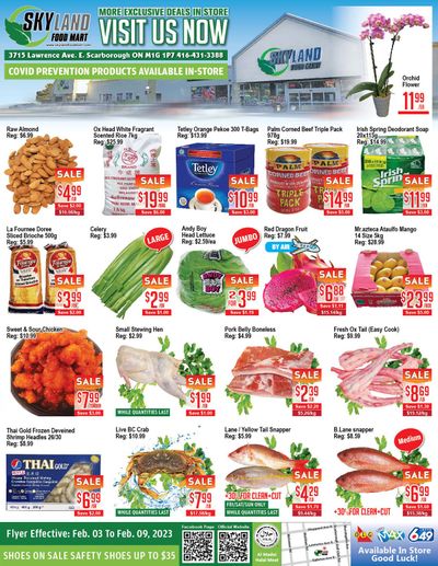 Skyland Food Mart Flyer February 3 to 9