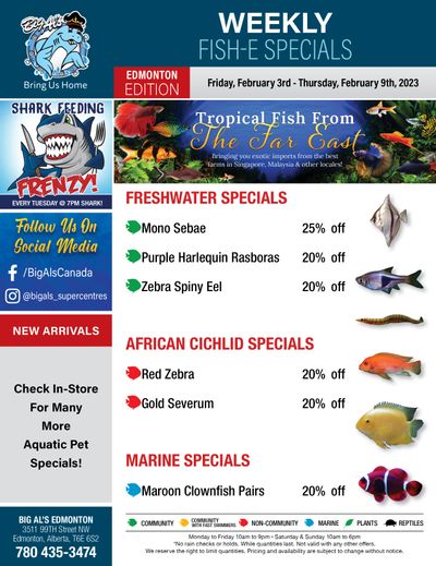 Big Al's (Edmonton) Weekly Specials February 3 to 9