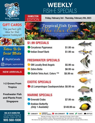 Big Al's (Hamilton) Weekly Specials February 3 to 9